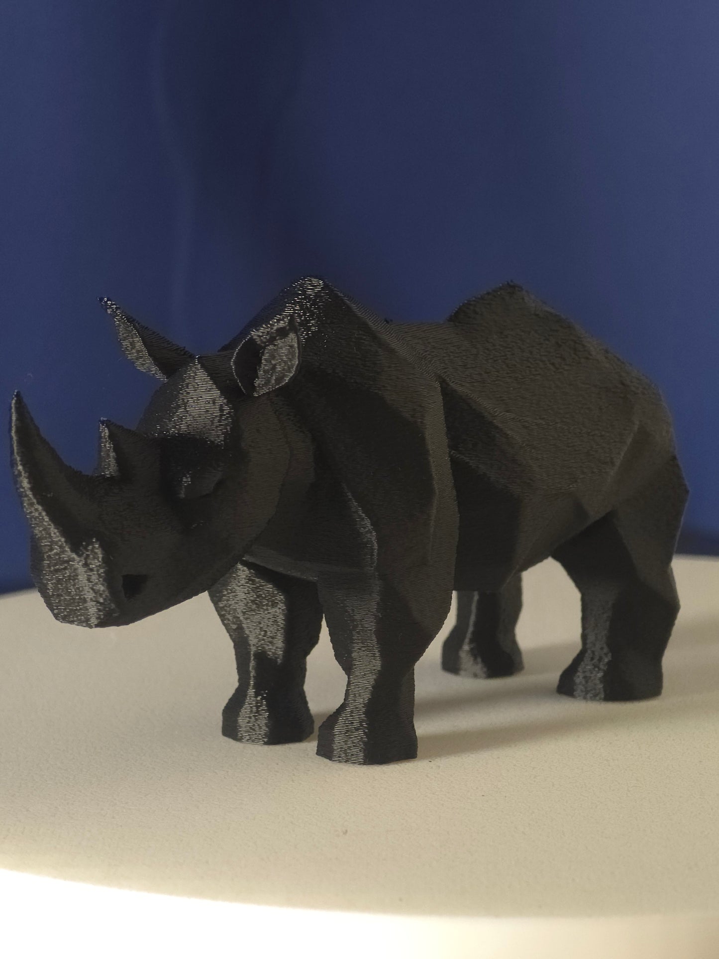 Geometric Rhino