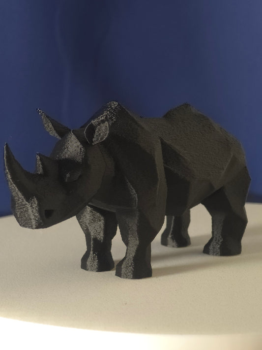 Geometric Rhino