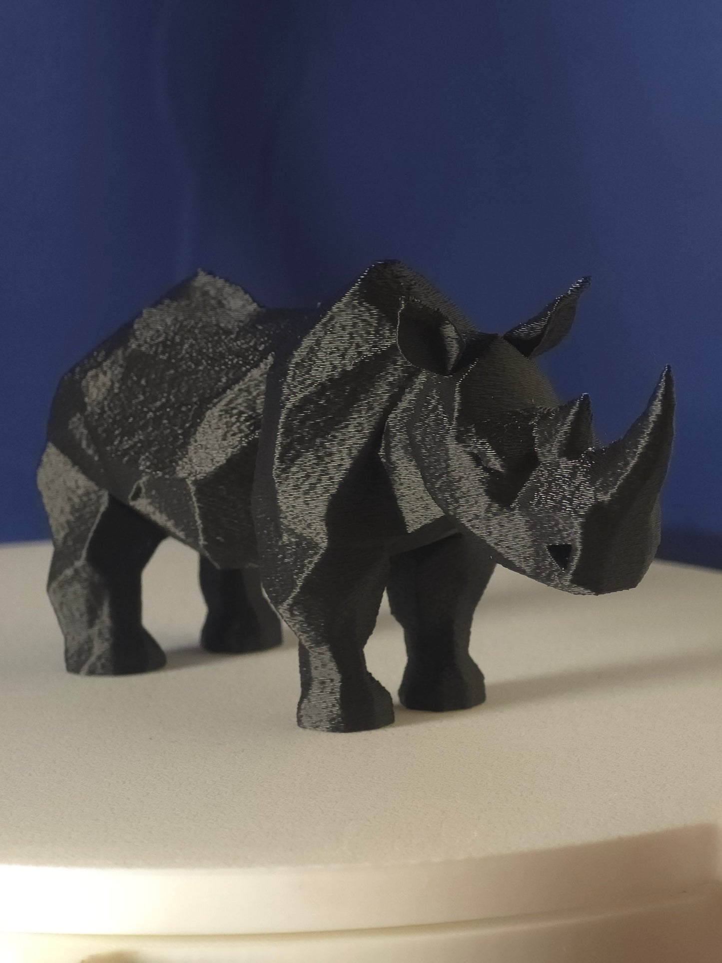 Geometric Rhino