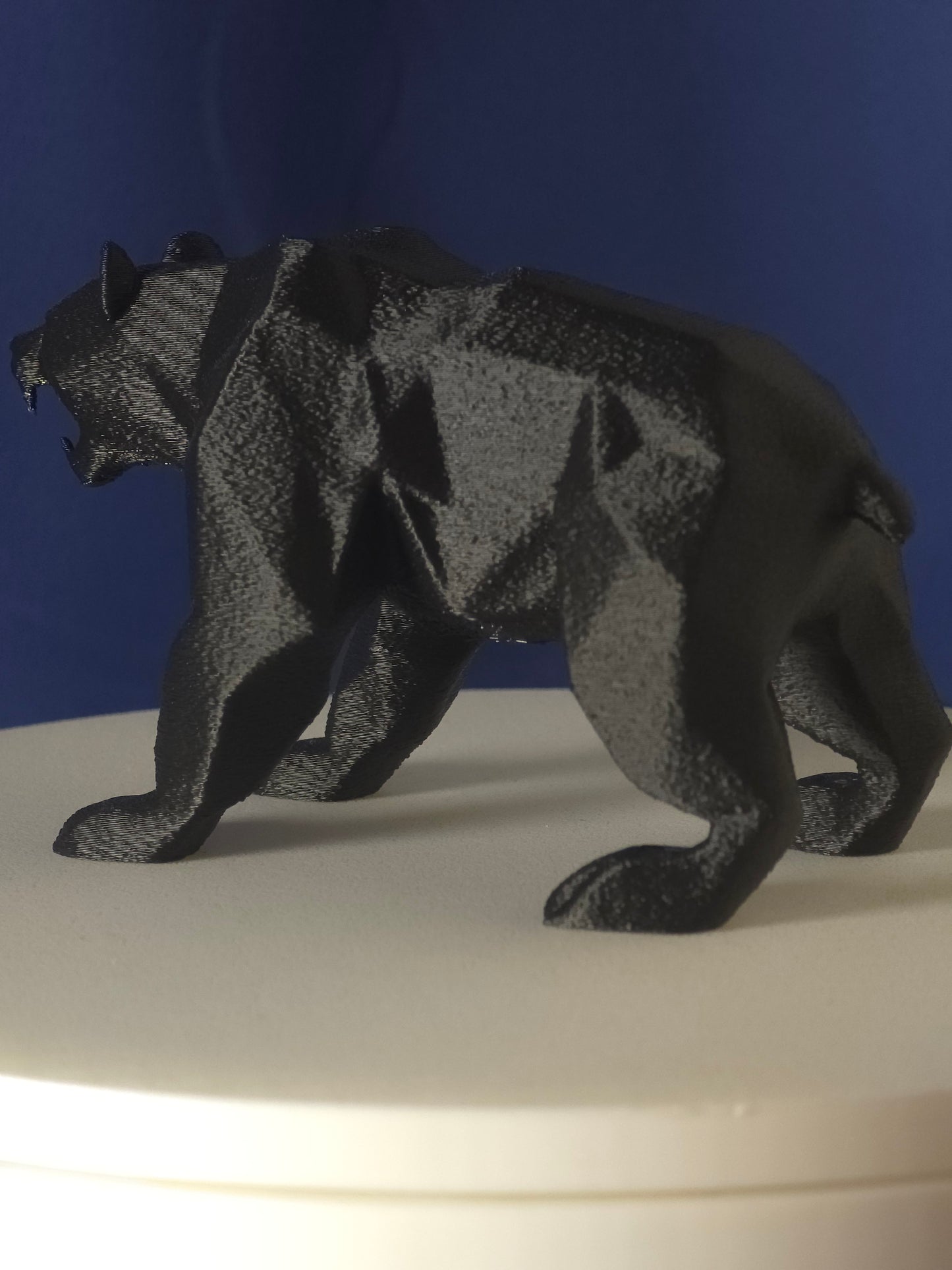 Geometric Polar Bear