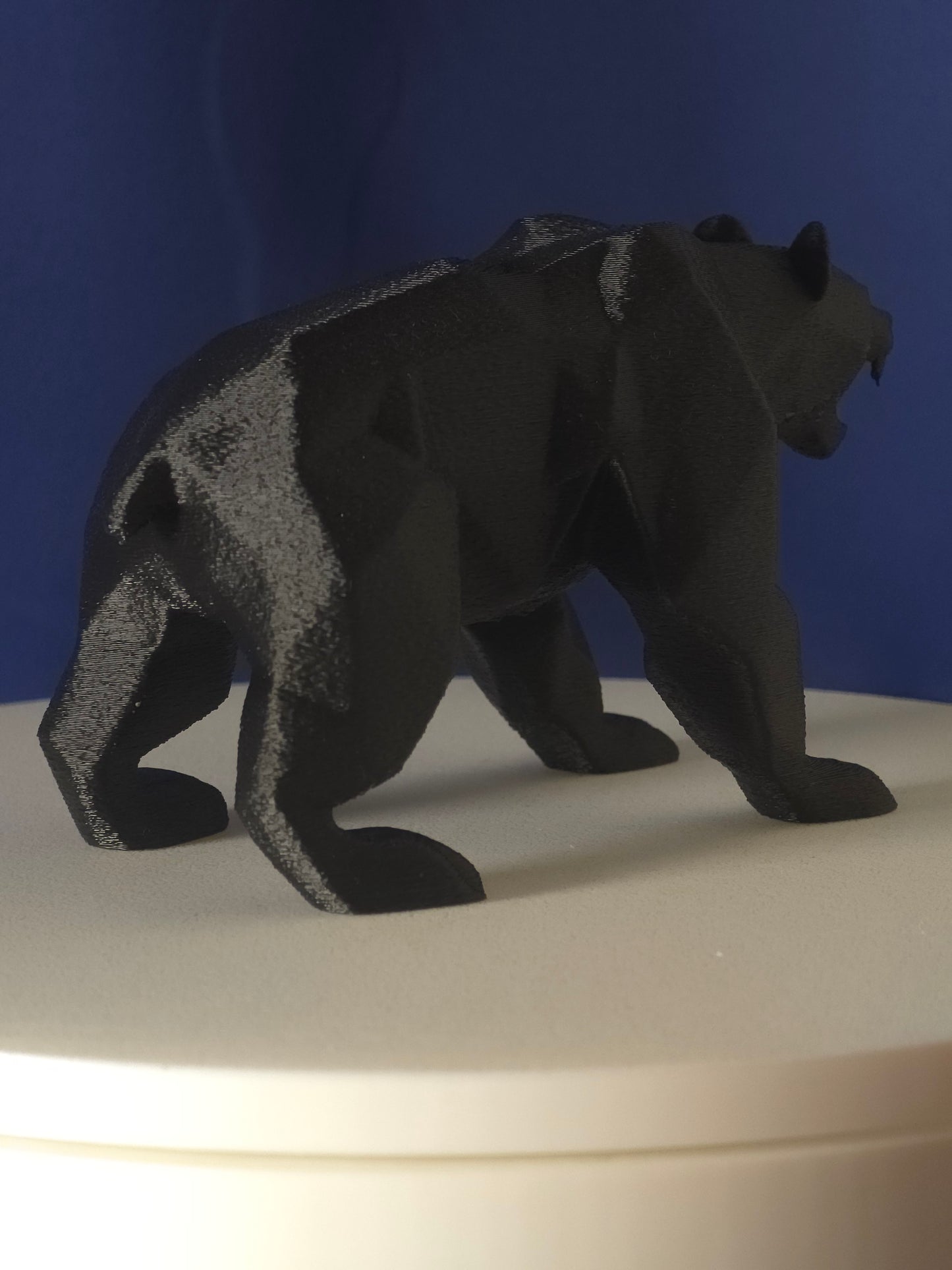 Geometric Polar Bear