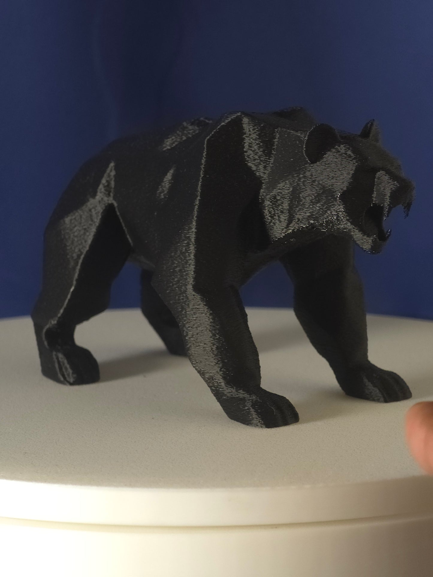 Geometric Polar Bear