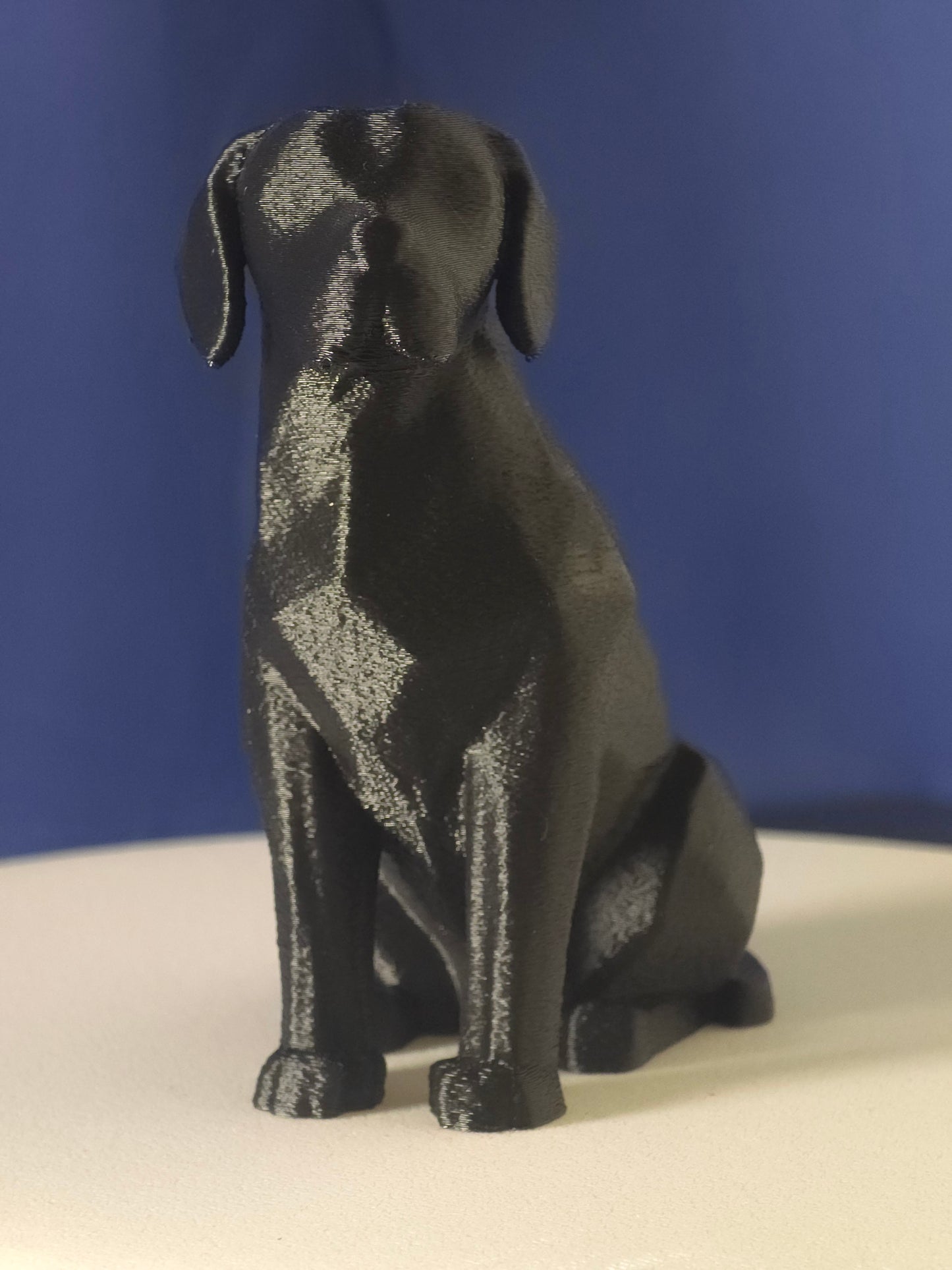 Geometric Labrador