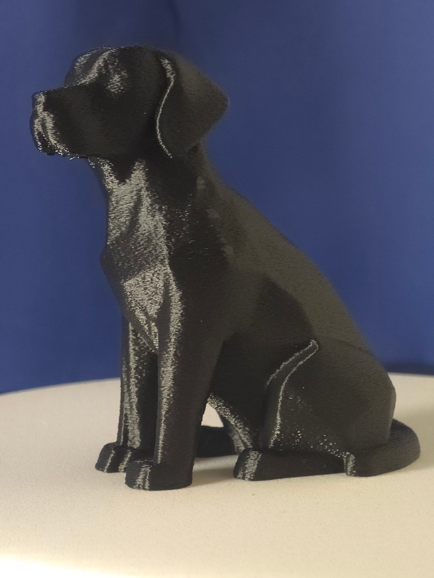 Geometric Labrador